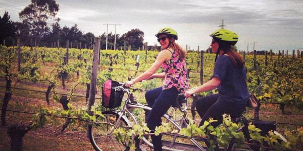 marlborough winery tour tandem.jpg